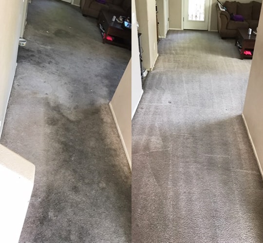 Residential Carpet Cleaning Las Vegas