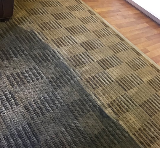 Trusted Area Rug Cleaning Service Company