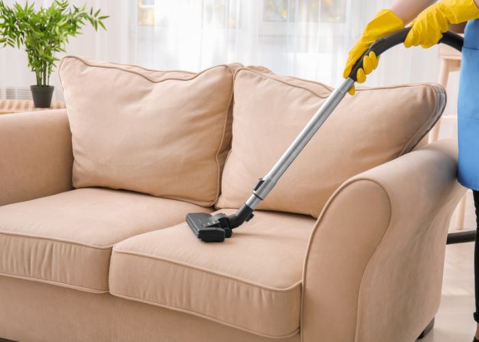 Hire a Professional Upholstery Cleaning Service